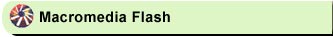 Macromedia Flash