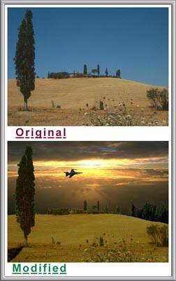 Adobe Photoshop,  InDesign CS3, Cartoonists, Animator, design newspaper, magazine covers, brochures, flyers, CD covers