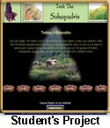 Student Project in Web Publishing