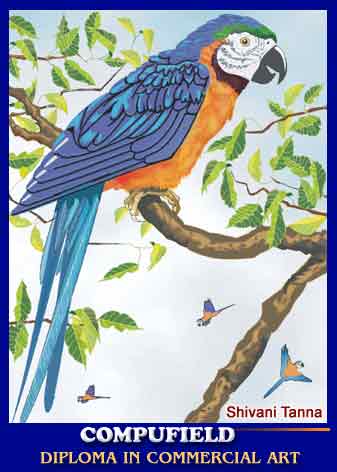 Aonlinetraining - Online training, specialized in Multimedia, broadcast , 2D & 3D animation , video editing , special effects for motion pictures, free trial